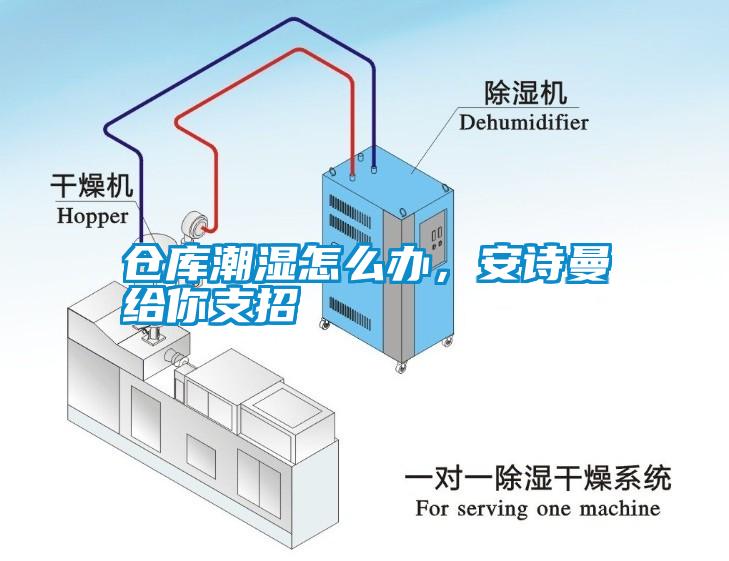 仓库潮湿怎么办，安诗曼给你支招