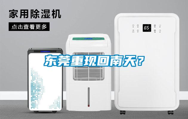 东莞重现回南天？