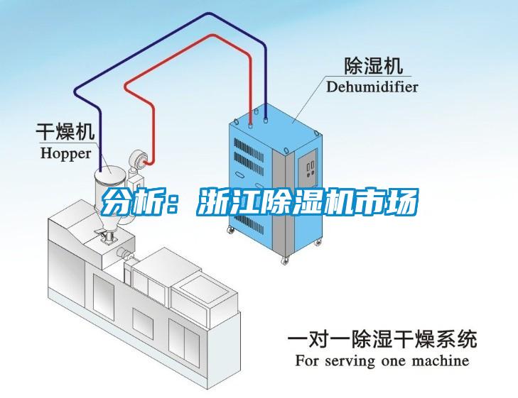 分析：浙江除湿机市场