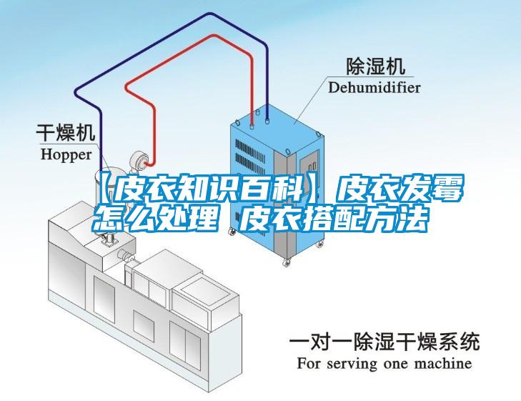 【皮衣知识百科】皮衣发霉怎么处理 皮衣搭配方法