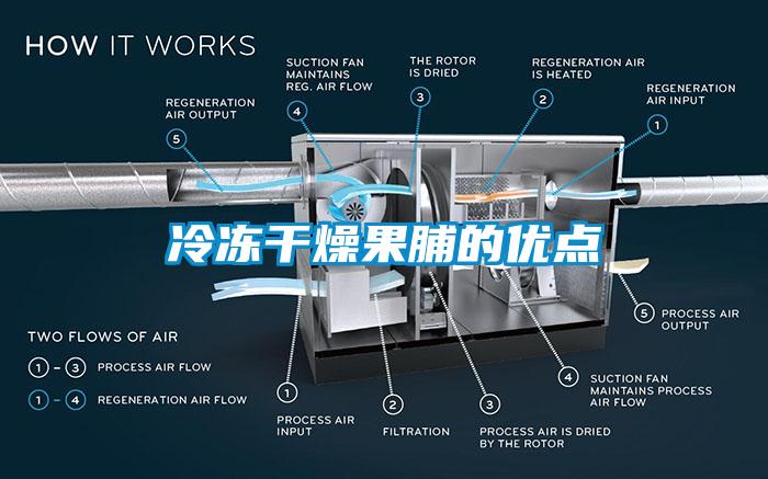 冷冻干燥果脯的优点