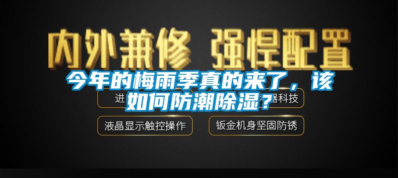 今年的梅雨季真的来了，该如何防潮除湿？