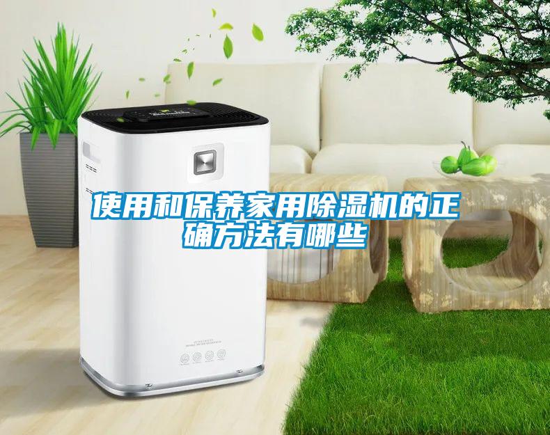 使用和保养家用除湿机的正确方法有哪些