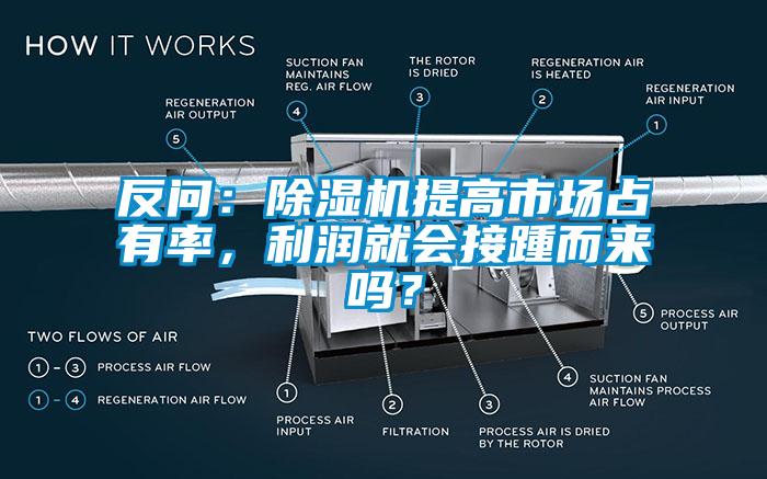 反问：除湿机提高市场占有率，利润就会接踵而来吗？