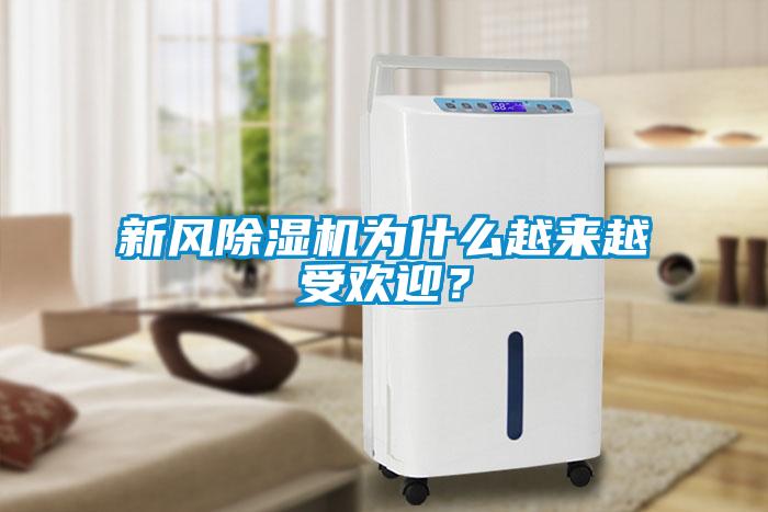 新风除湿机为什么越来越受欢迎？