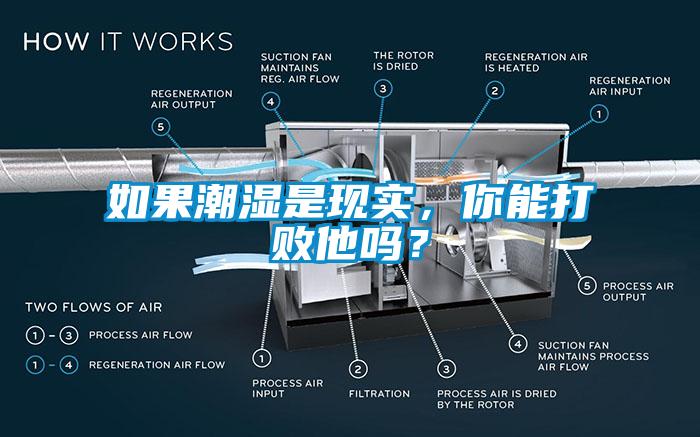 如果潮湿是现实，你能打败他吗？