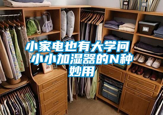 小家电也有大学问 小小加湿器的N种妙用