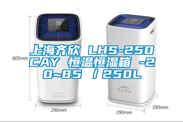 上海齐欣 LHS-250CAY 恒温恒湿箱 -20~85℃／250L