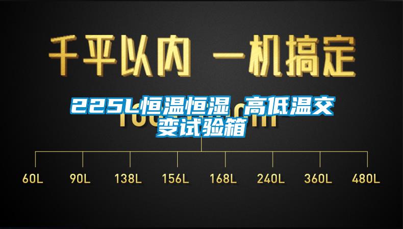 225L恒温恒湿 高低温交变试验箱