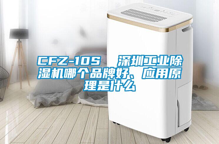 CFZ-10S  深圳工业除湿机哪个品牌好、应用原理是什么