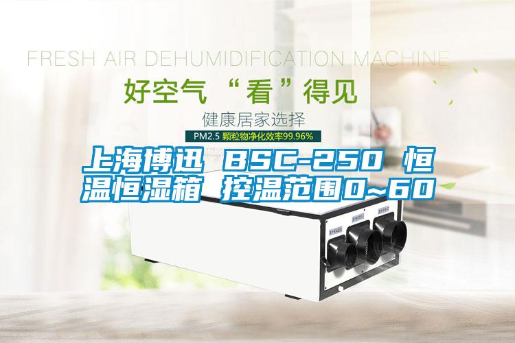 上海博迅 BSC-250 恒温恒湿箱 控温范围0~60℃