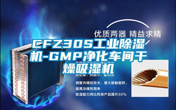 CFZ30S工业除湿机-GMP净化车间干燥吸湿机