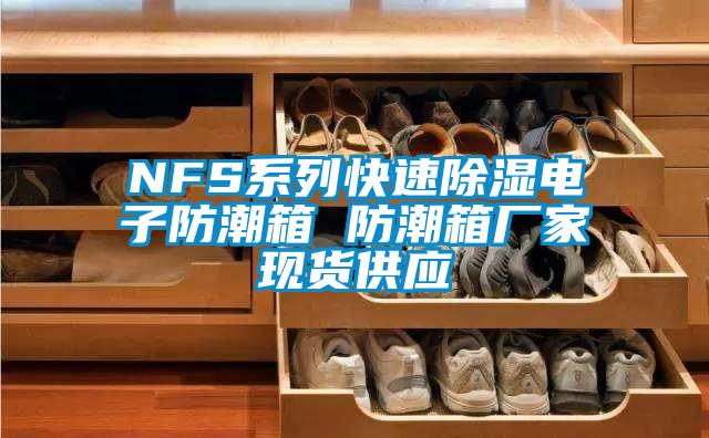 NFS系列快速除湿电子防潮箱 防潮箱厂家现货供应