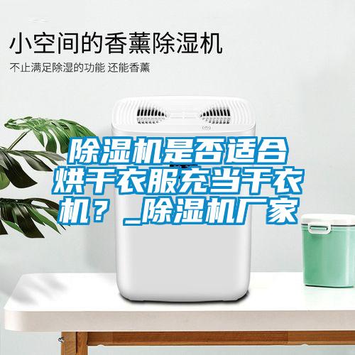 除湿机是否适合烘干衣服充当干衣机？_除湿机厂家