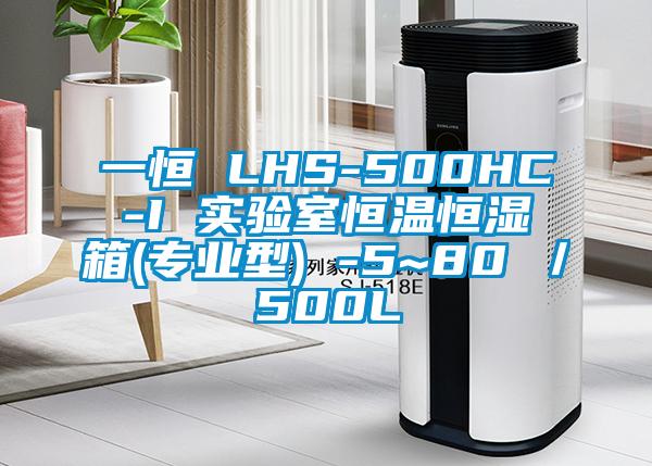 一恒 LHS-500HC-I 实验室恒温恒湿箱(专业型) -5~80℃／500L