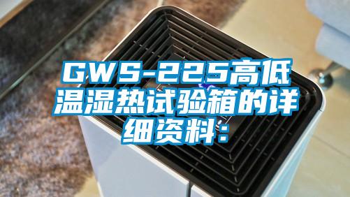 GWS-225高低温湿热试验箱的详细资料：