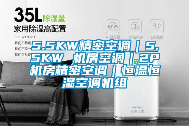 5.5KW精密空调｜5.5KW 机房空调｜2P机房精密空调｜恒温恒湿空调机组