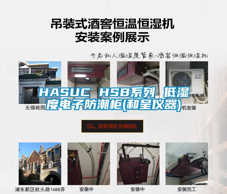 HASUC HSB系列 低湿度电子防潮柜(和呈仪器)