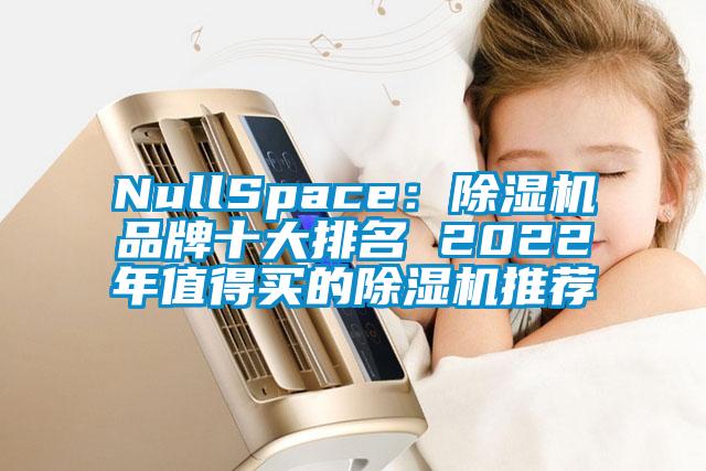 NullSpace：除湿机品牌十大排名 2022年值得买的除湿机推荐