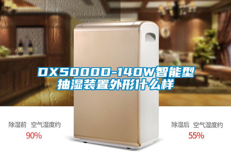 DX5000D-140W智能型抽湿装置外形什么样