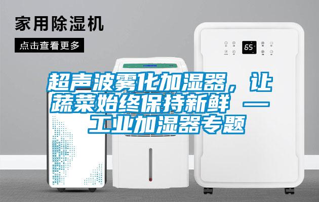 超声波雾化加湿器，让蔬菜始终保持新鲜 — 工业加湿器专题