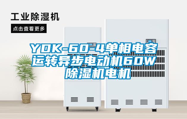 YDK-60-4单相电容运转异步电动机60W 除湿机电机