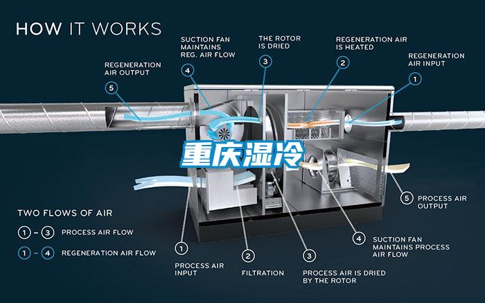 重庆湿冷