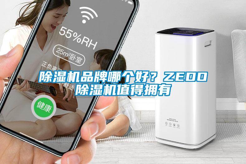 除湿机品牌哪个好？ZEDO除湿机值得拥有