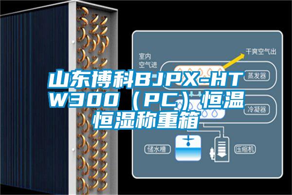 山东博科BJPX-HTW300（PC）恒温恒湿称重箱