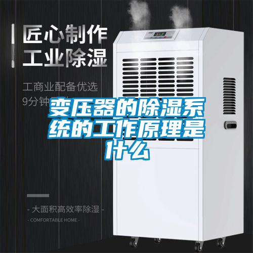 变压器的除湿系统的工作原理是什么