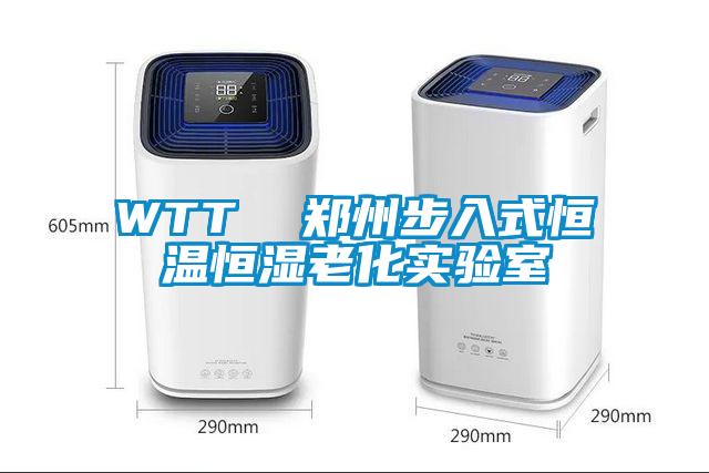 WTT  郑州步入式恒温恒湿老化实验室