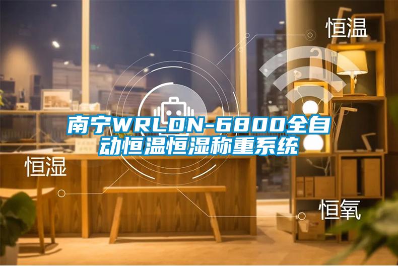 南宁WRLDN-6800全自动恒温恒湿称重系统