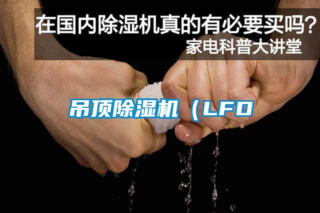 吊顶除湿机（LFD