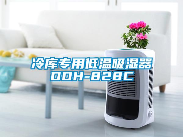 冷库专用低温吸湿器DDH-828C