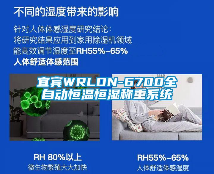 宜宾WRLDN-6700全自动恒温恒湿称重系统