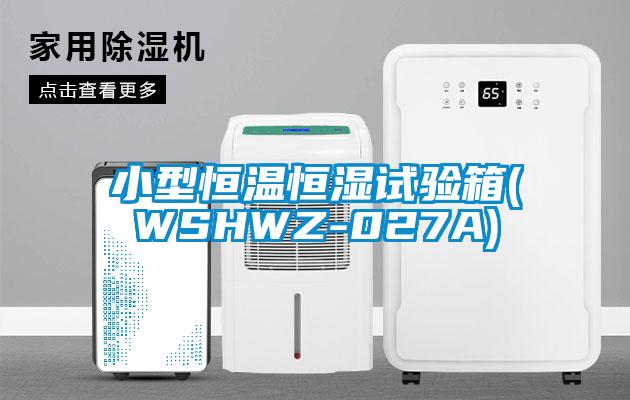 小型恒温恒湿试验箱(WSHWZ-027A)