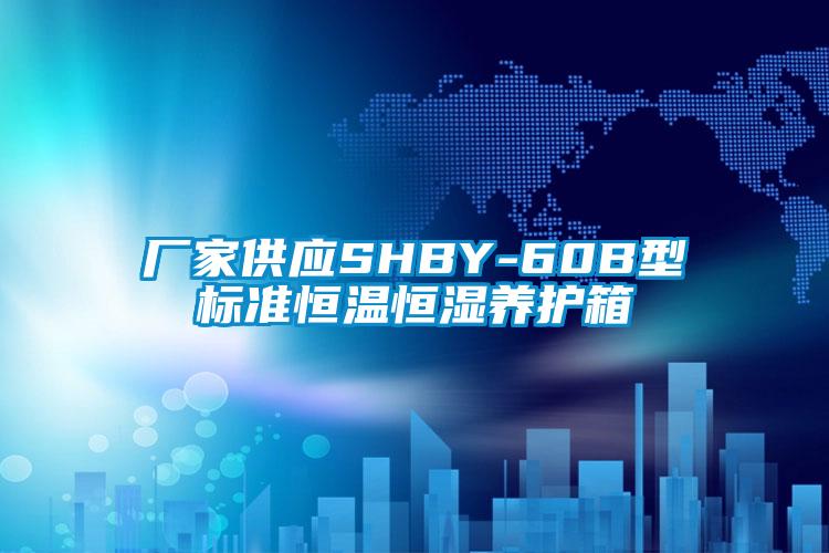 厂家供应SHBY-60B型标准恒温恒湿养护箱