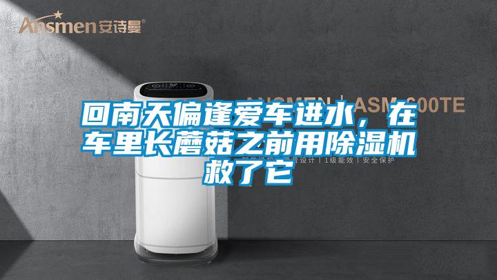 回南天偏逢爱车进水，在车里长蘑菇之前用除湿机救了它