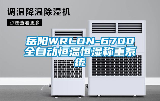 岳阳WRLDN-6700全自动恒温恒湿称重系统