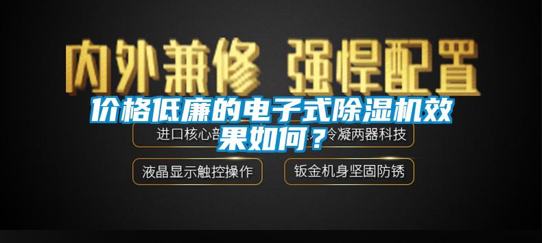 价格低廉的电子式除湿机效果如何？