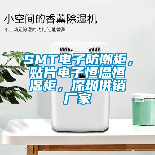 SMT电子防潮柜，贴片电子恒温恒湿柜，深圳供销厂家