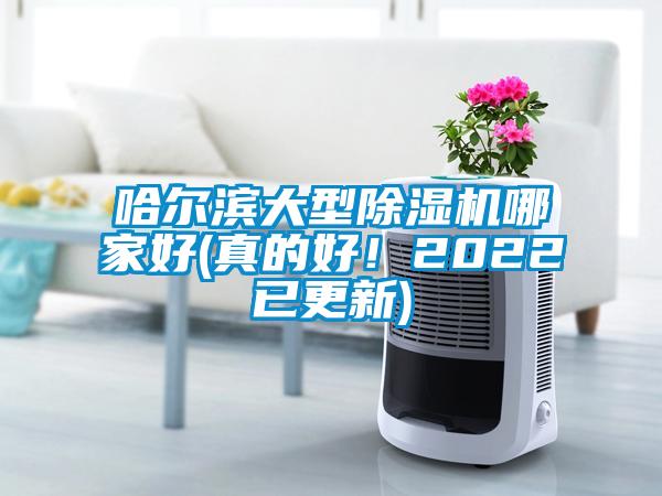 哈尔滨大型除湿机哪家好(真的好！2022已更新)