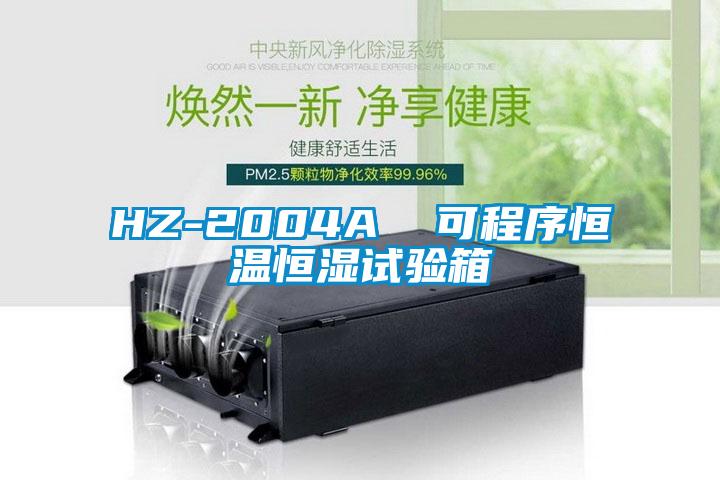 HZ-2004A  可程序恒温恒湿试验箱