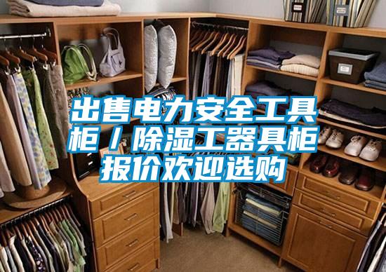 出售电力安全工具柜／除湿工器具柜报价欢迎选购