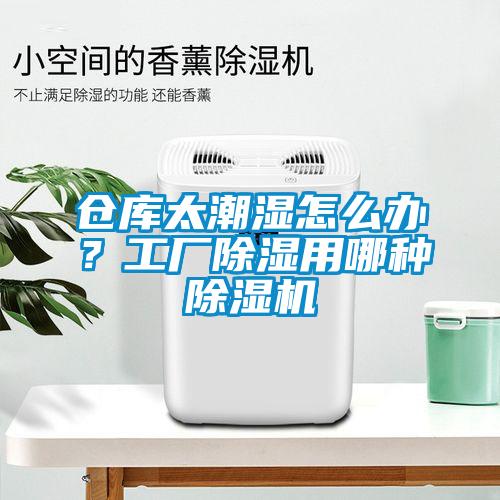 仓库太潮湿怎么办？工厂除湿用哪种除湿机