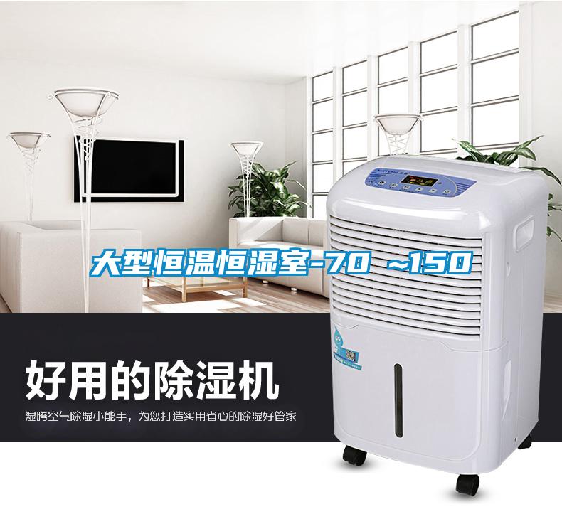 大型恒温恒湿室-70℃~150℃