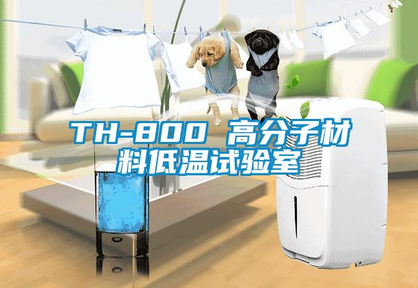 TH-800 高分子材料低温试验室