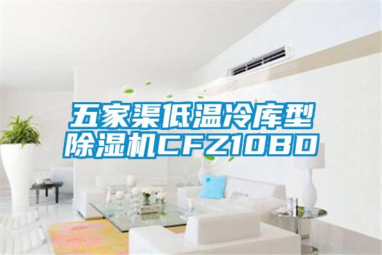 五家渠低温冷库型除湿机CFZ10BD