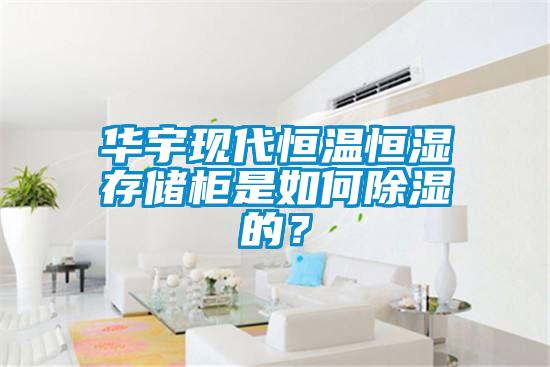 华宇现代恒温恒湿存储柜是如何除湿的？