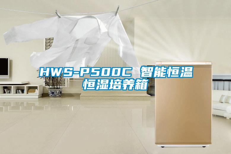 HWS-P500C 智能恒温恒湿培养箱